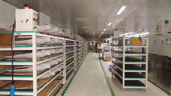 響應一帶一路倡議，燈具塑件企業積極拓展海外市場